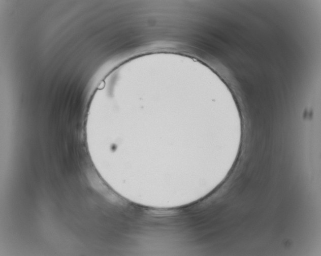 X0000112091296200909151128