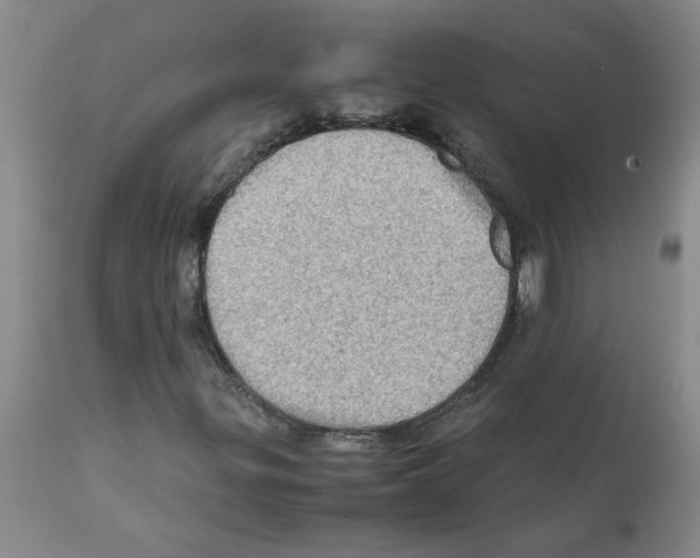 X0000112091299200909151127
