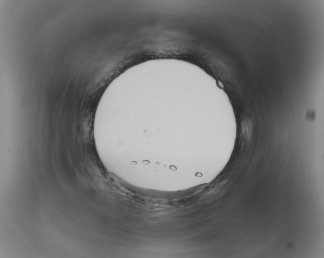 X0000112091300200909151127