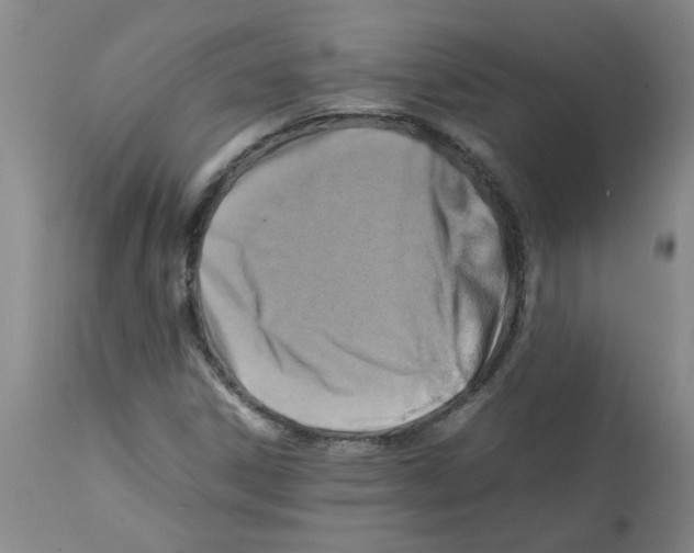 X0000112091306200909151127