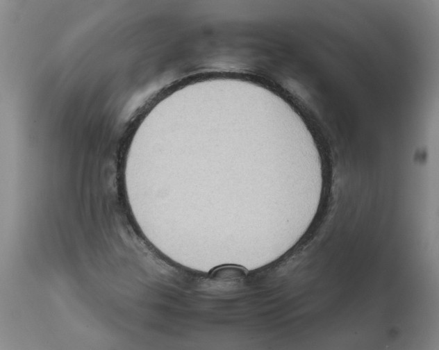 X0000112091307200909151127