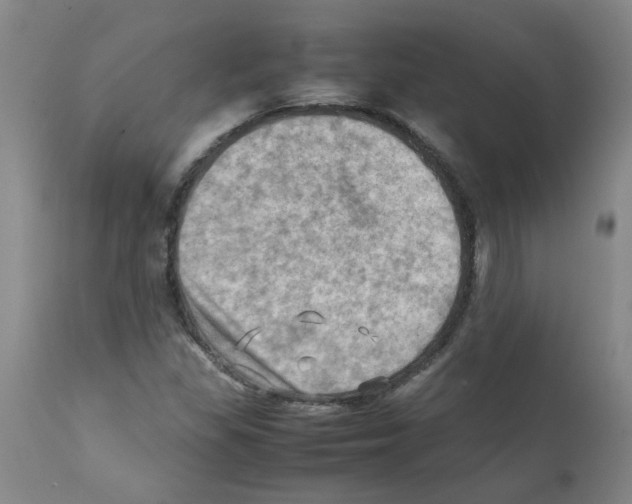 X0000112091309200909151127