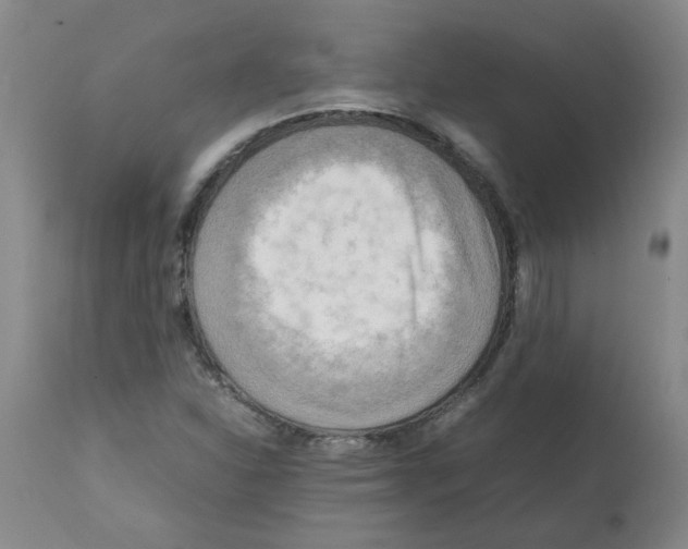 X0000112091310200909151127