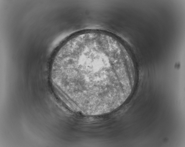 X0000112091311200909151127