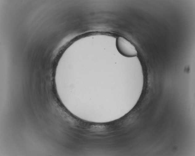 X0000112091315200909151127