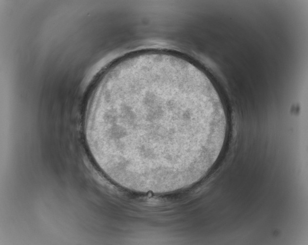 X0000112091318200909151127