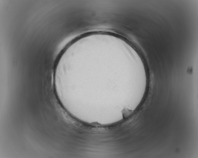 X0000112091320200909151127