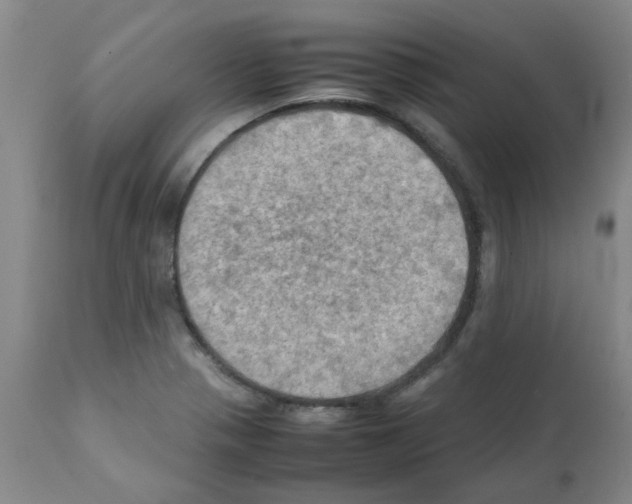 X0000112091321200909151127