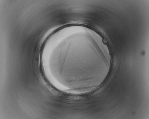 X0000112091323200909151127