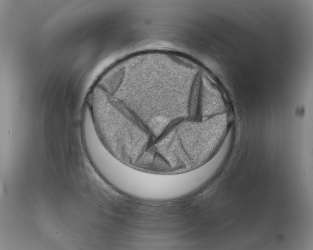 X0000112091326200909151127