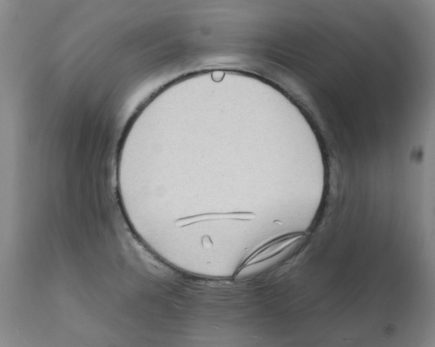 X0000112091328200909151127