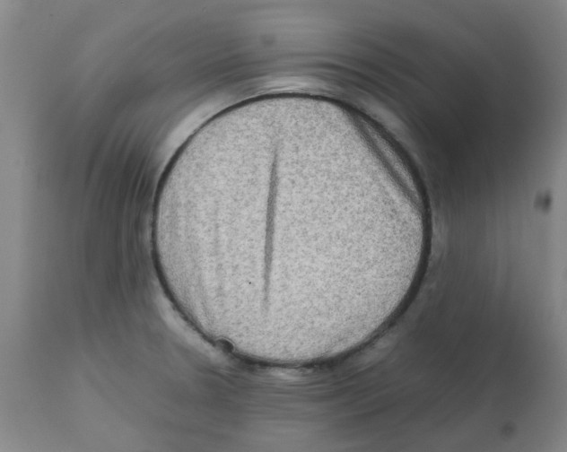 X0000112091330200909151127