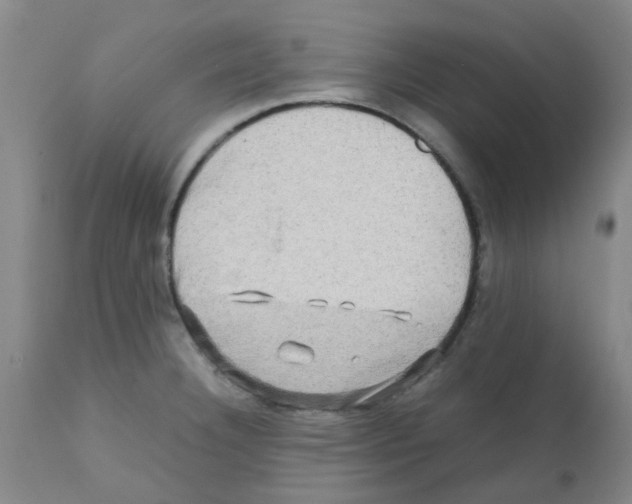 X0000112091332200909151127
