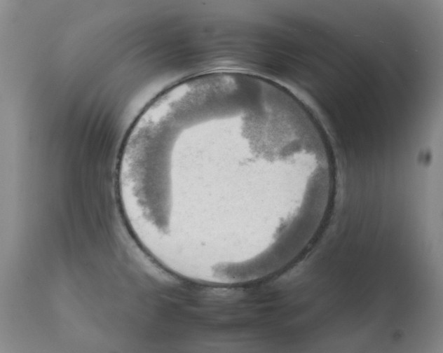 X0000112091333200909151127