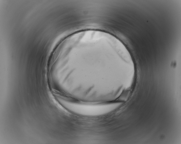X0000112091334200909151127
