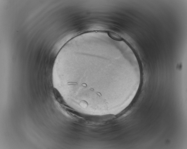 X0000112091337200909151128