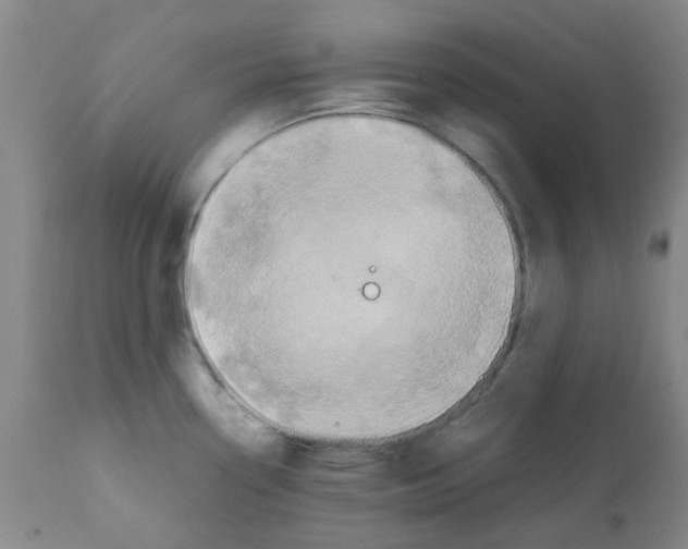 X0000112091338200909151128