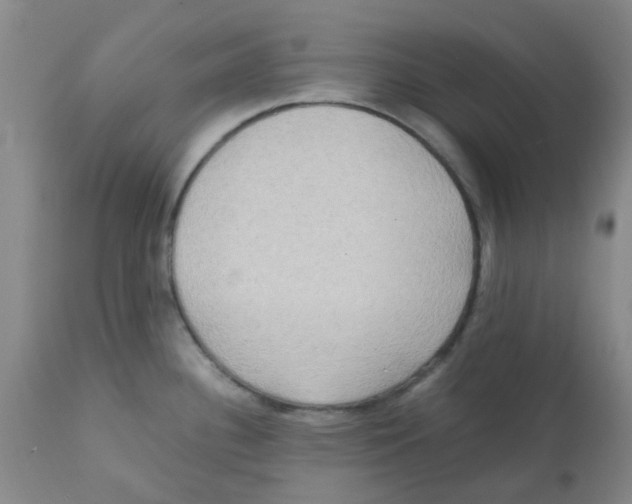 X0000112091340200909151128