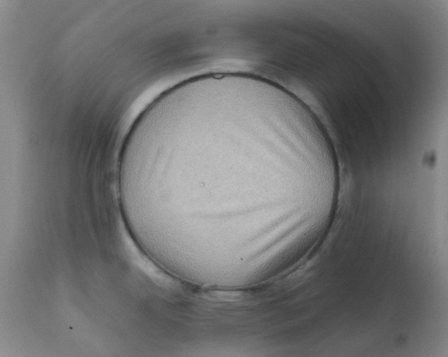 X0000112091342200909151128