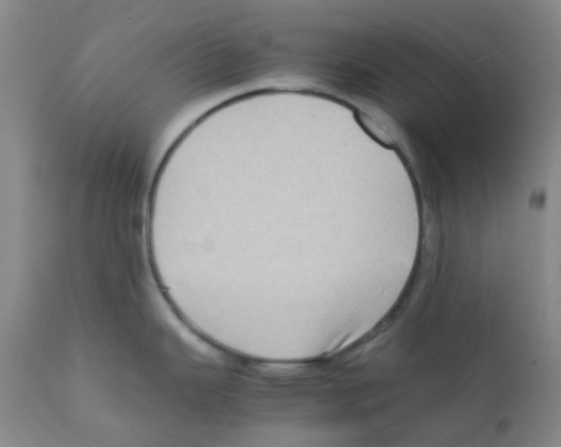 X0000112091343200909151128