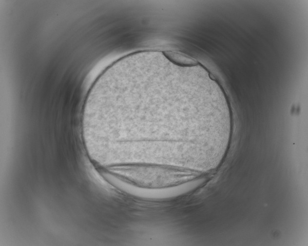X0000112091344200909151128