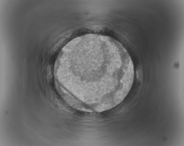 X0000112091347200909151127