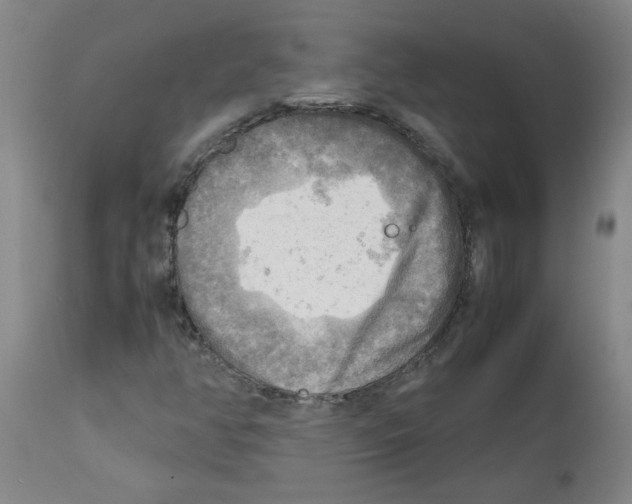 X0000112091350200909151127