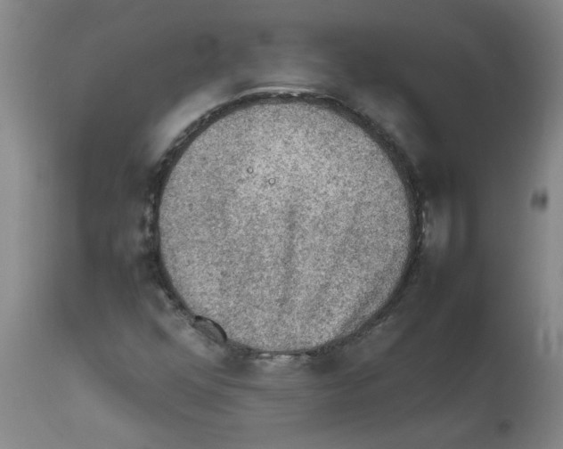 X0000112091352200909151127