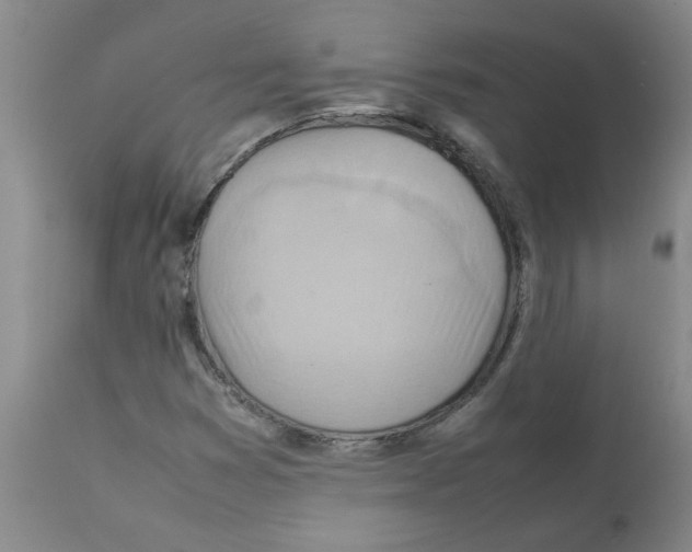 X0000112091353200909151127