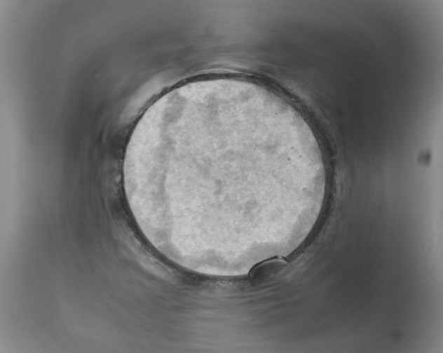X0000112091355200909151127