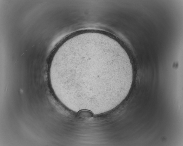 X0000112091360200909151127