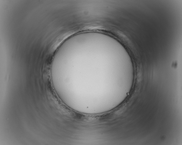 X0000112091361200909151127