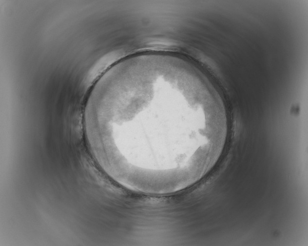 X0000112091362200909151127
