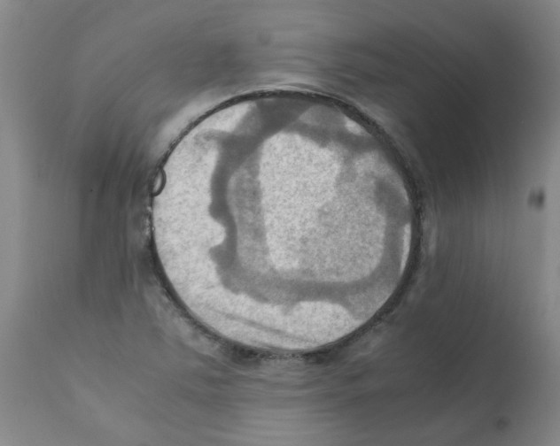 X0000112091363200909151127