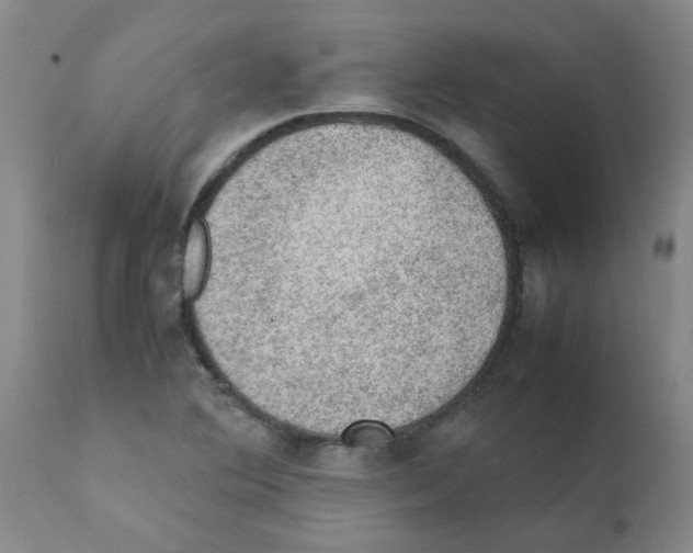 X0000112091364200909151127