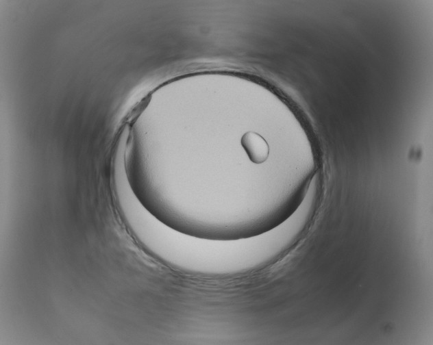 X0000112091365200909151127