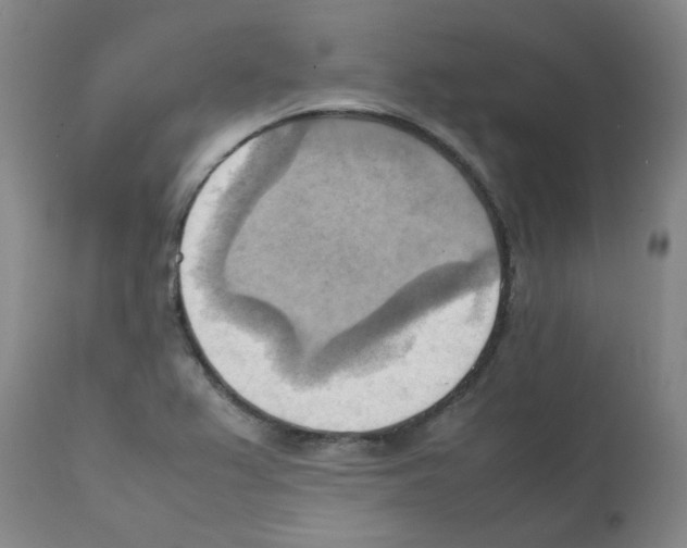 X0000112091367200909151127