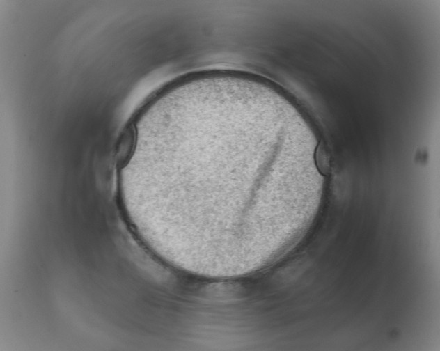 X0000112091368200909151127
