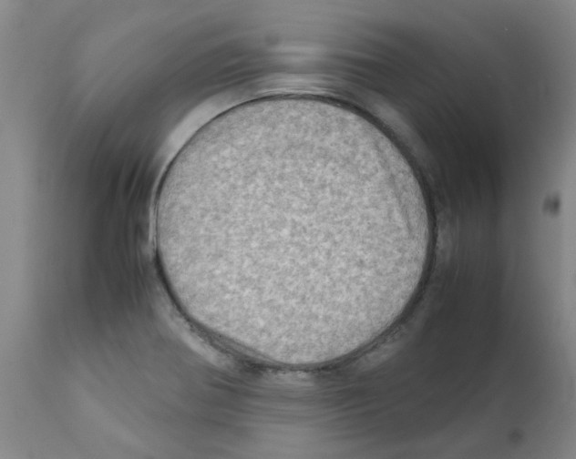 X0000112091370200909151127