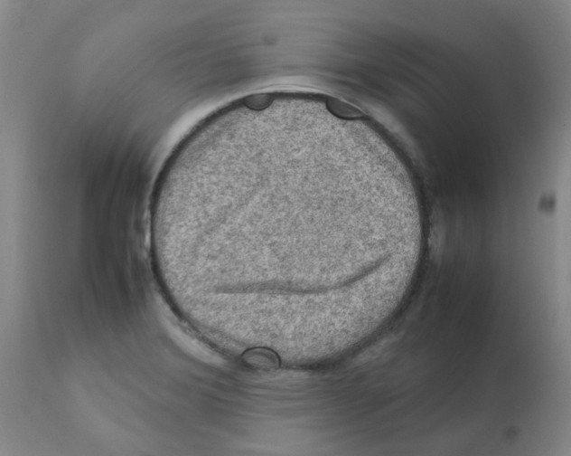 X0000112091372200909151127