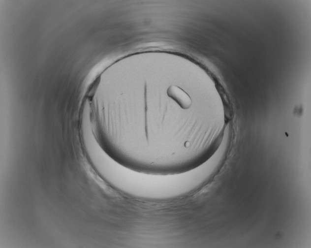 X0000112091373200909151127