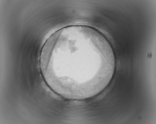 X0000112091374200909151127