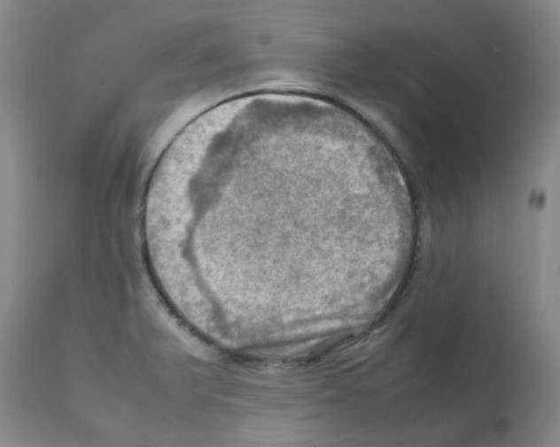 X0000112091375200909151127