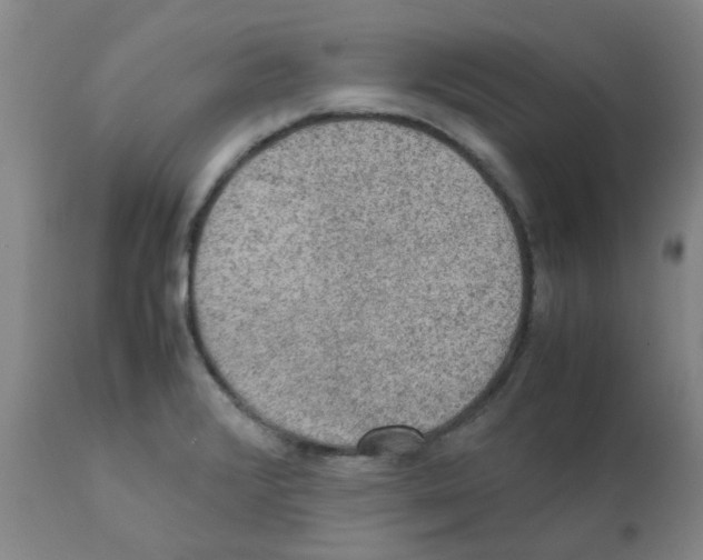 X0000112091376200909151127