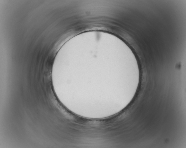X0000112091377200909151127