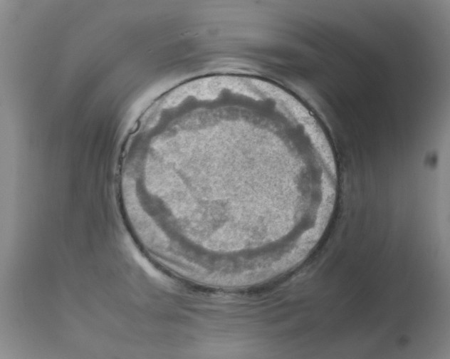 X0000112091379200909151126