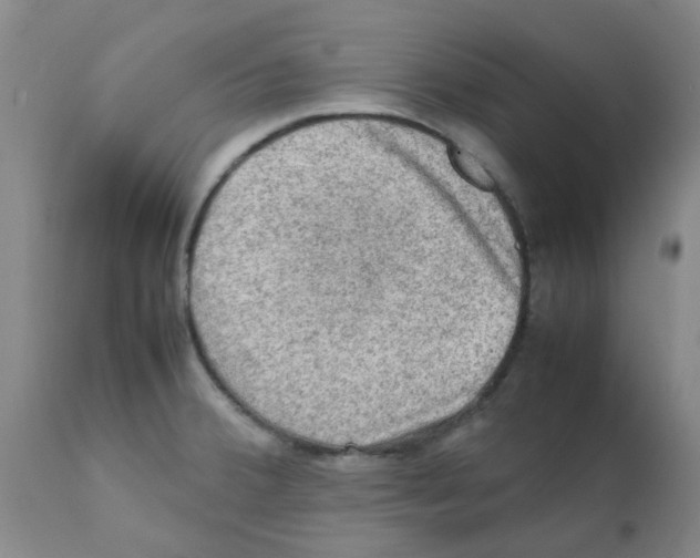 X0000112091380200909151126