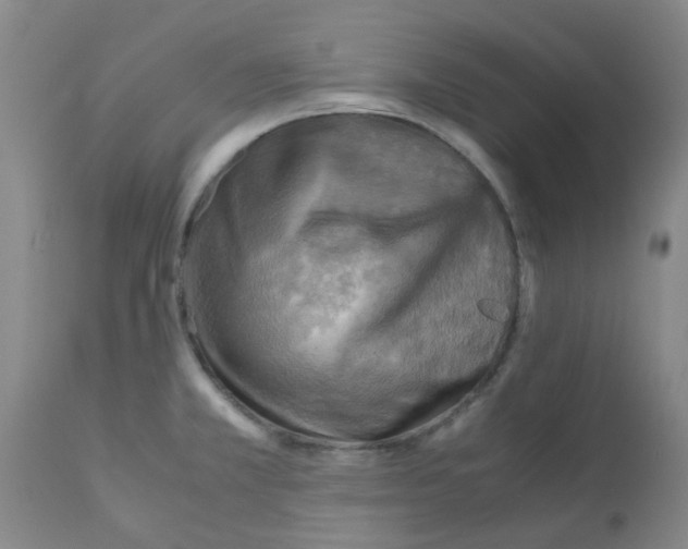 X0000112091381200909151126
