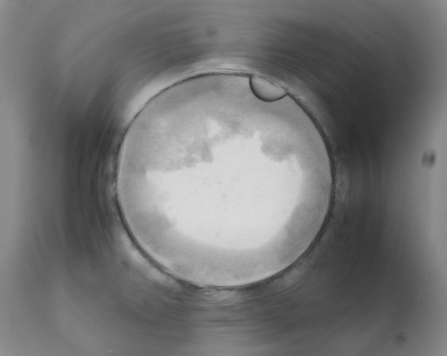 X0000112091382200909151126