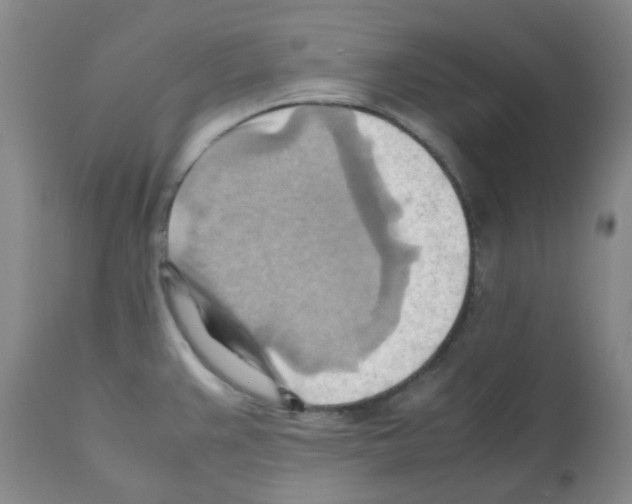 X0000112091383200909151126